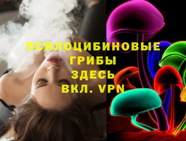 ГАЛЛЮЦИНОГЕННЫЕ ГРИБЫ Балабаново