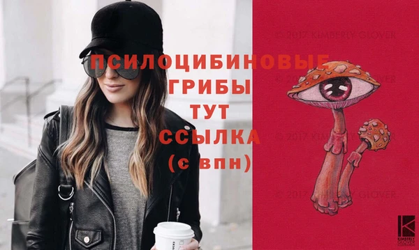jwh Осинники